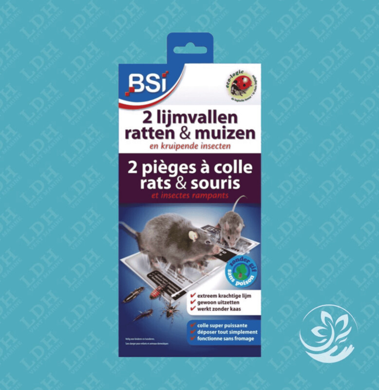 Pièges à colle souris & rats (2 pcs)