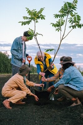 Land Regeneration Monthly Payment Plans