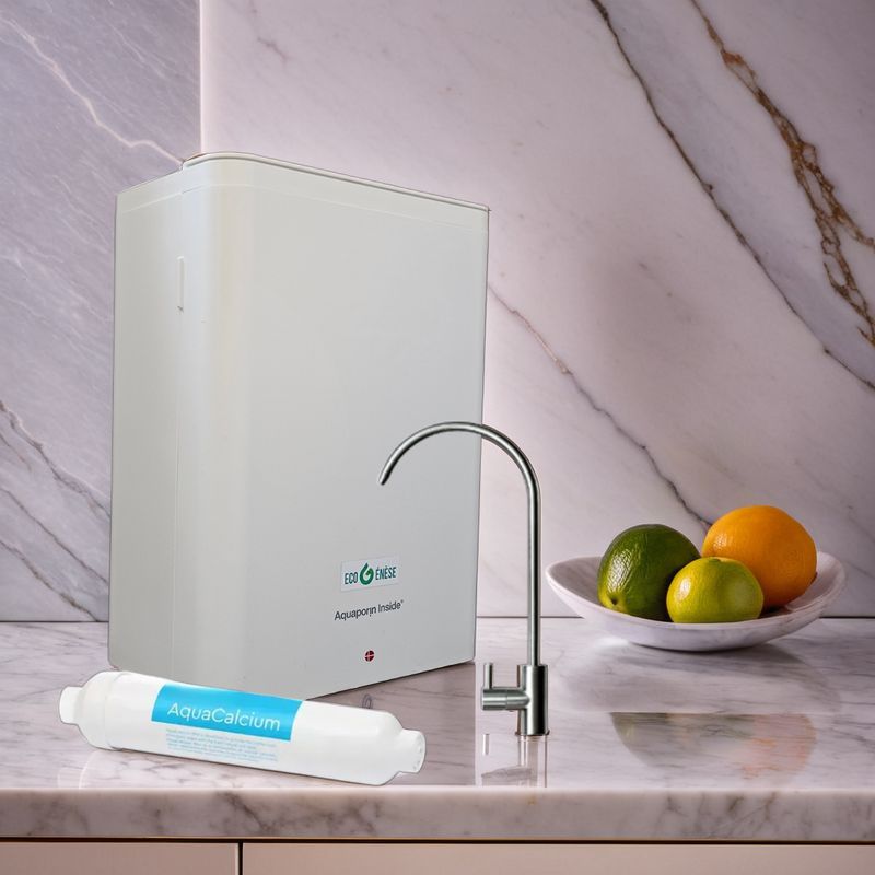 Osmoseur AP2100 - Flux direct 2,1 l/mn