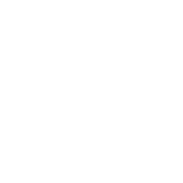 Elm Roastery Wholesale
