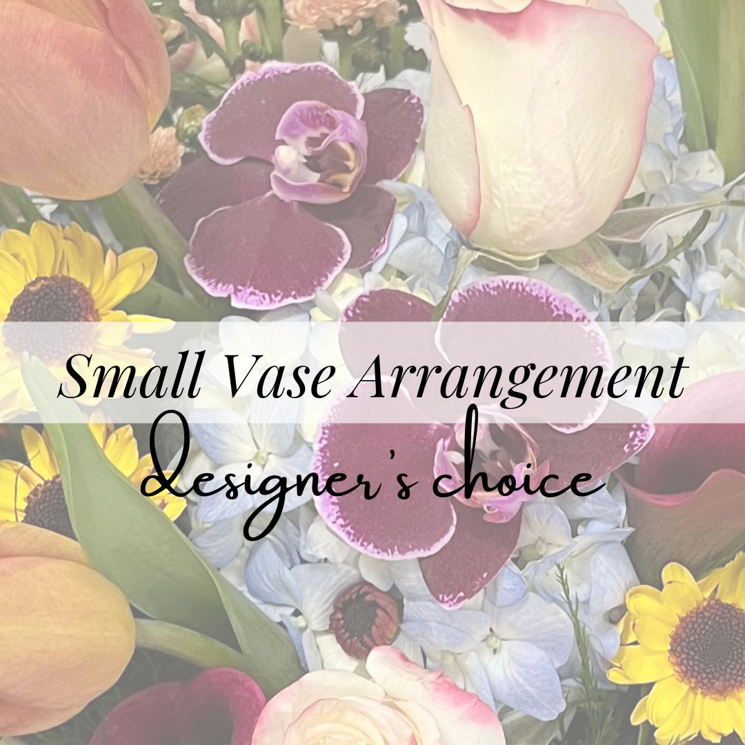 Designer&#39;s Choice Small
