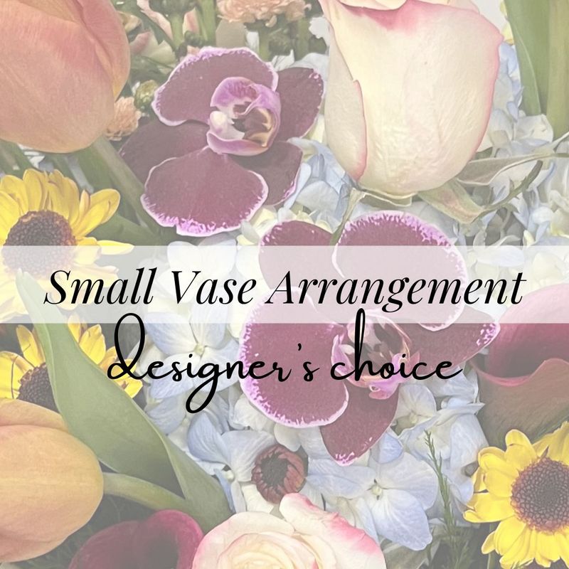 Designer's Choice Small