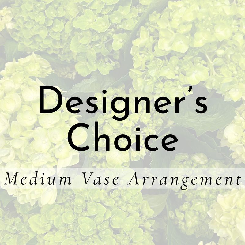 Designer's Choice Medium