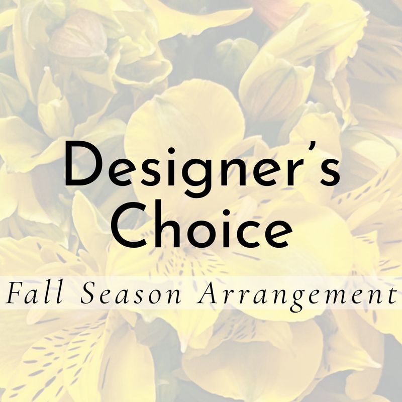 Designer's Choice Fall