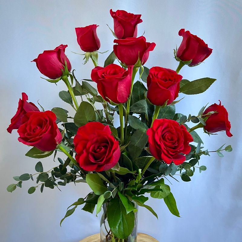 Rose Radiance
