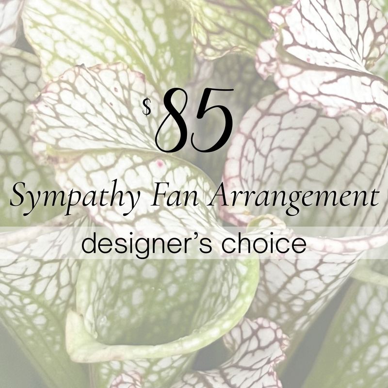 $85 Sympathy Fan Arrangement | Designer’s Choice