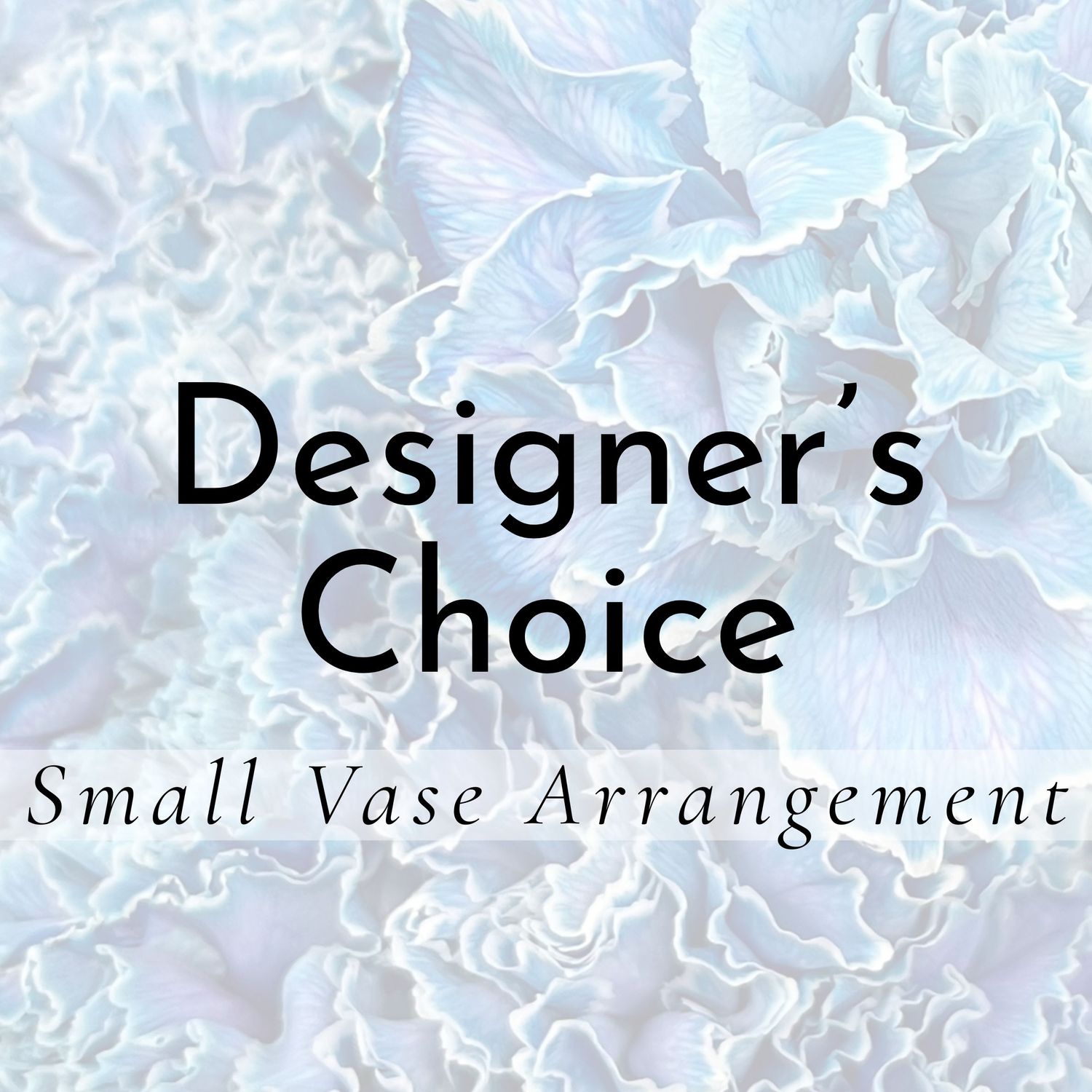 Designer's Choice Small