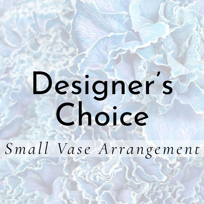 Designer's Choice Small
