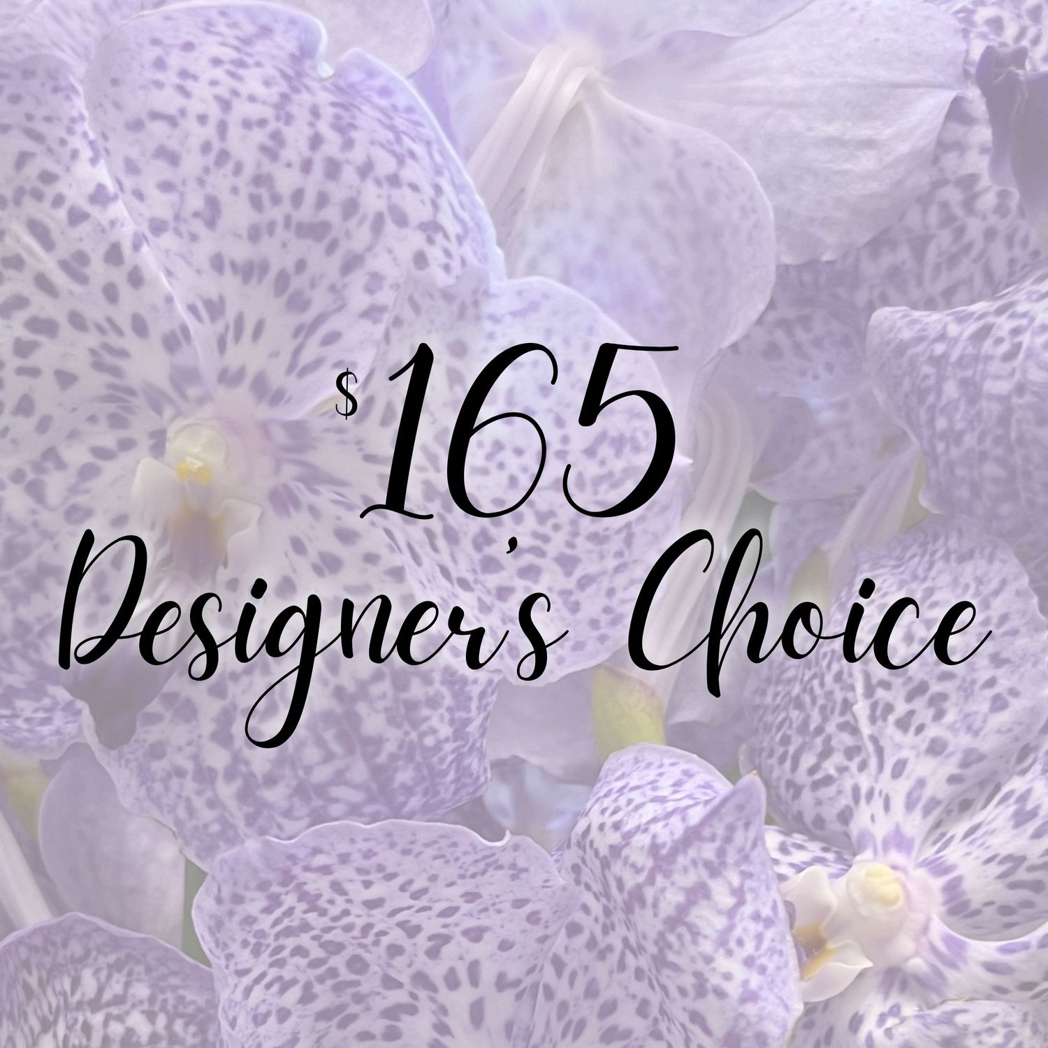 $165 Designer's Choice