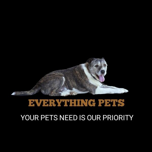 Everything Pets