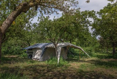 Campooz Sonnensegel für Fat Freddy Vorzelt