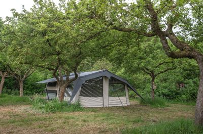 Campooz Camping-Erweiterung für Sleepy Joe