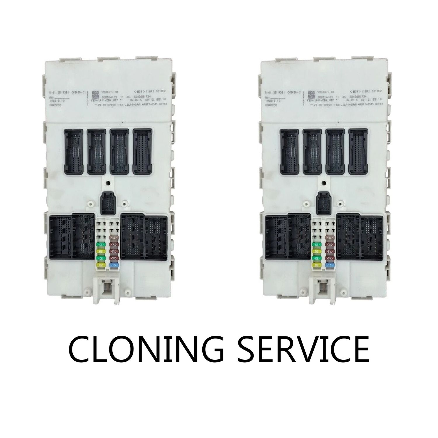 BMW - FEM Module Cloning Service