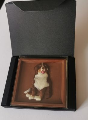 1Schoggihund in der Edlen Verpackung schwarz