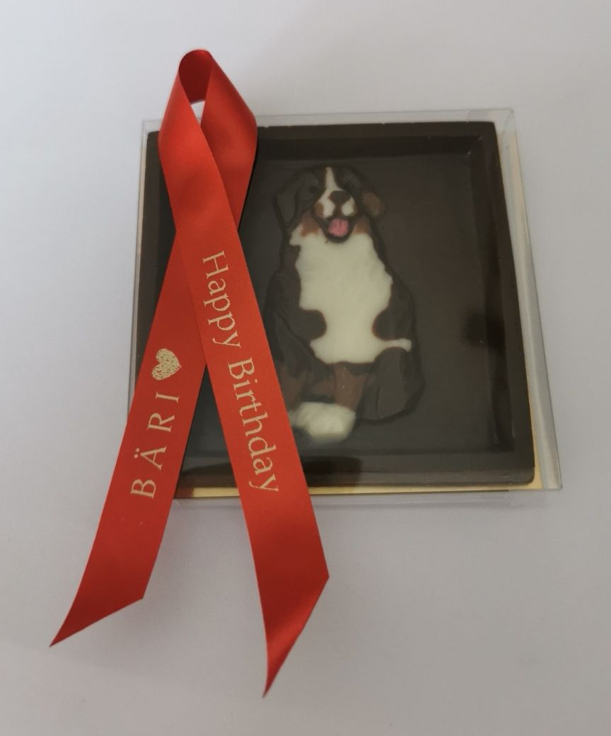 Ein Schoggihund mit schöner Schlaufe in Wine Rot mit Gold Schrift