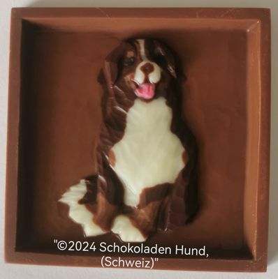 Berner Sennenhund