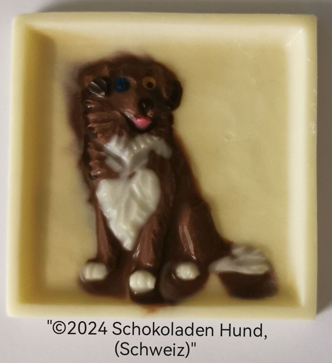Australian Shepherd (Aussi)