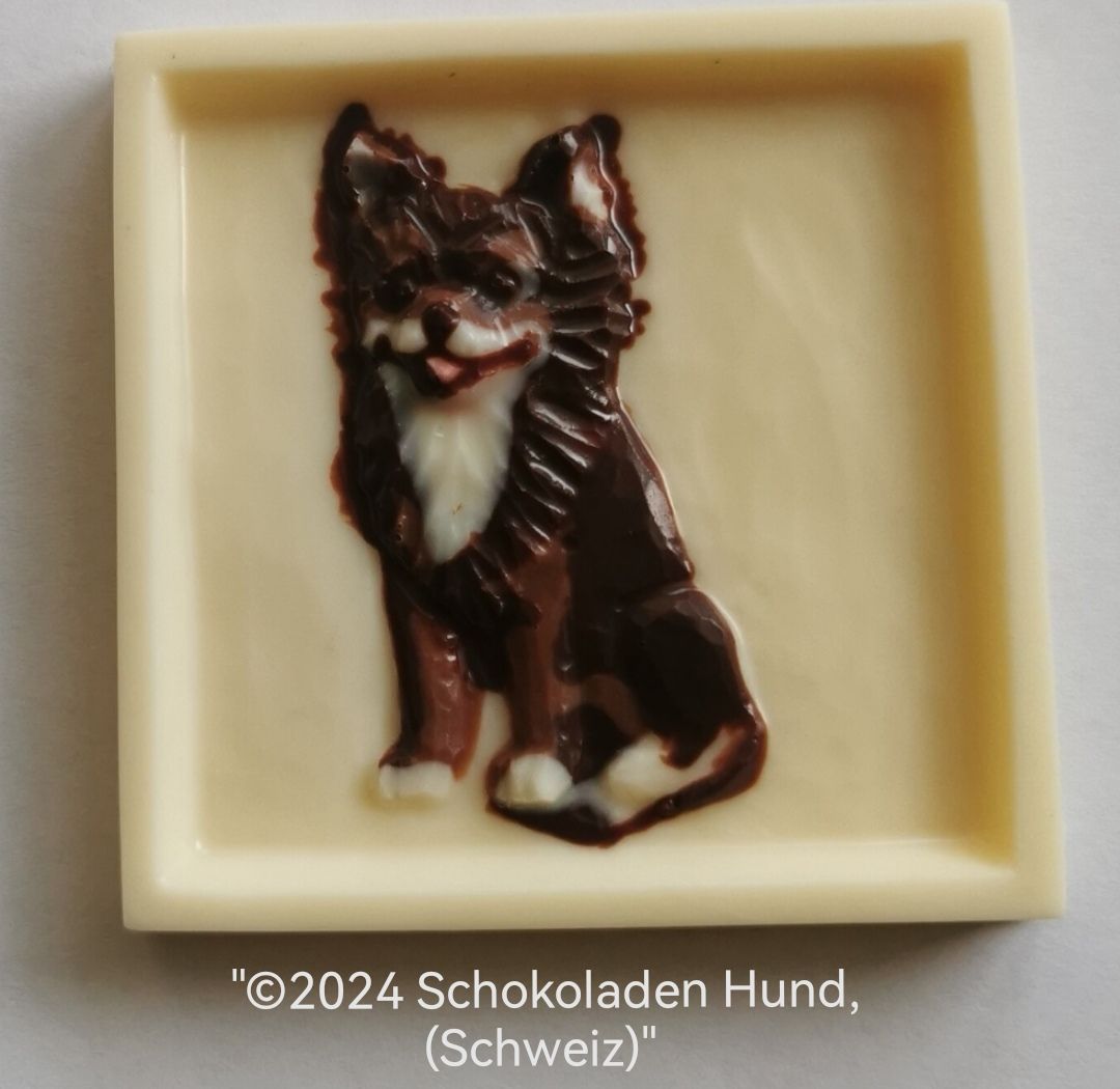 Chihuahua Langhaar