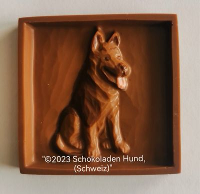 Deutscher Schäferhund