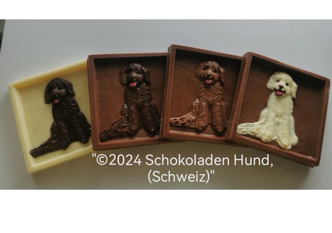 Labradoodle