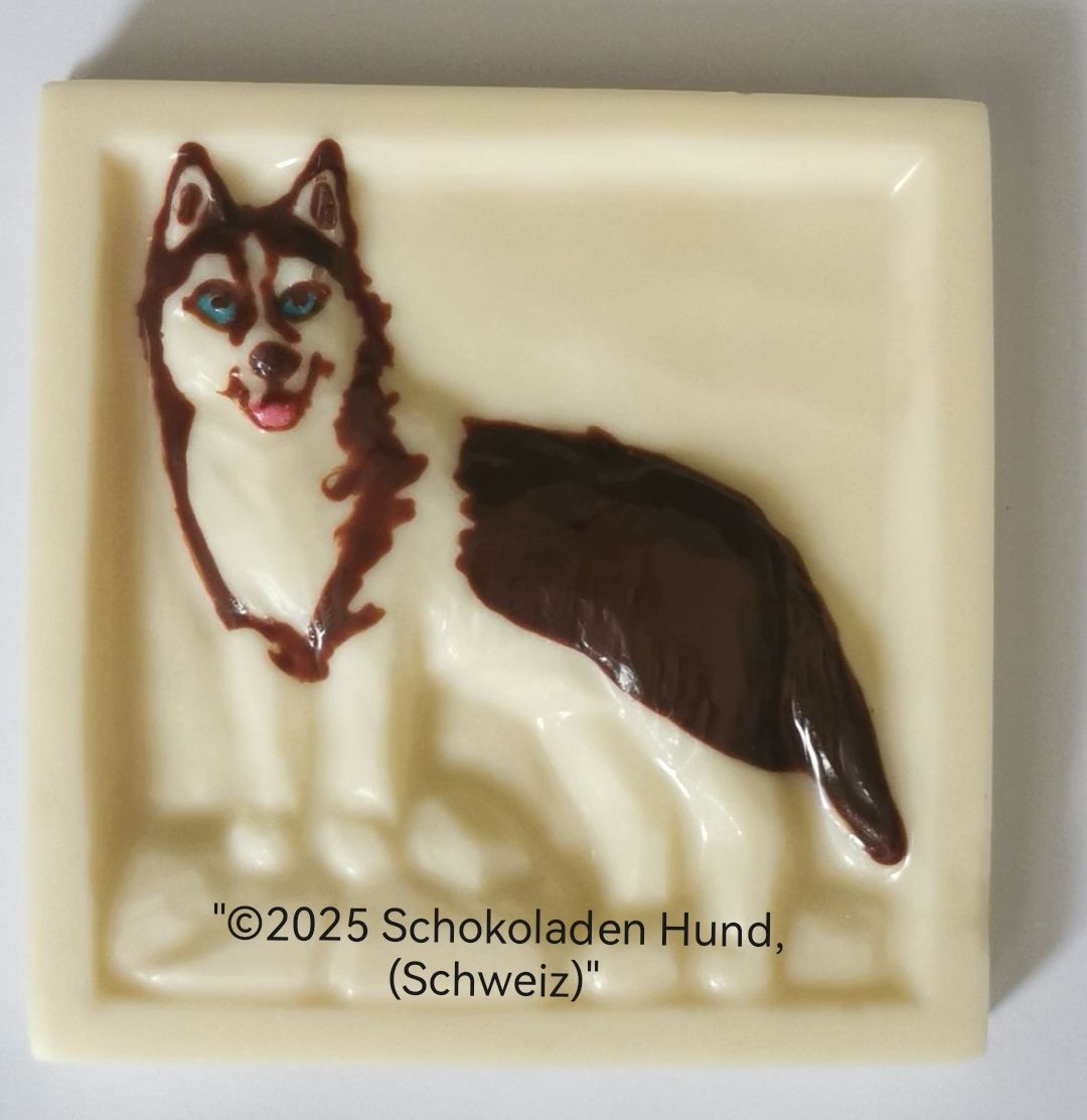 Sibirian Huskey im Schnee