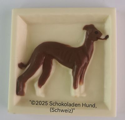 Galgo Español