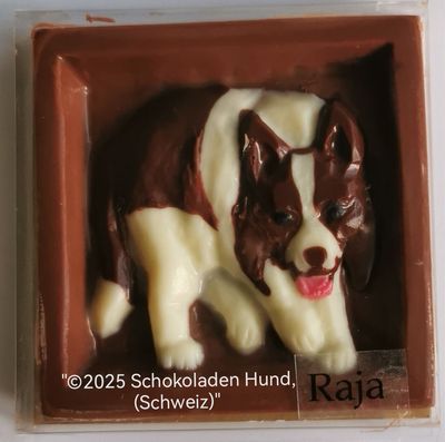 Border Collie Schleich spezial Ausführung