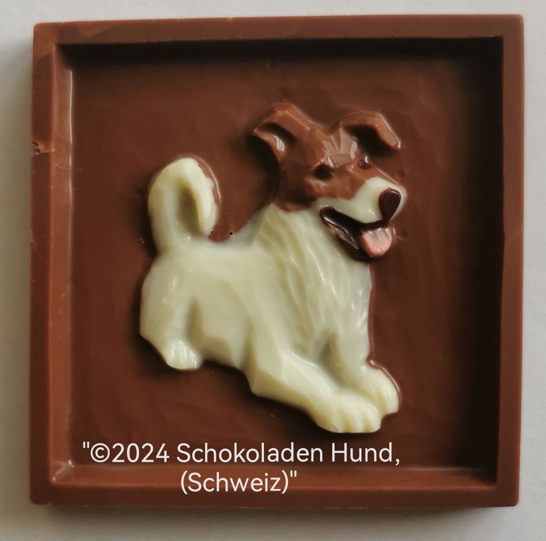 Terrier