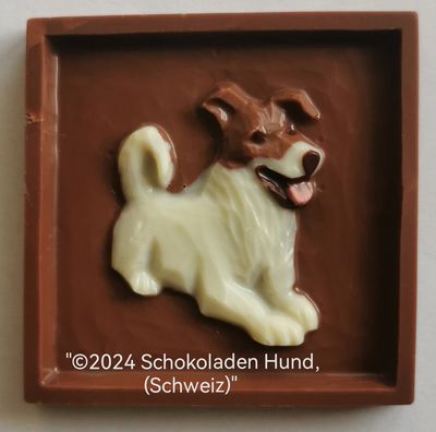 Terrier