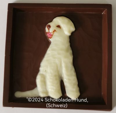 Lagotto Romagnolo