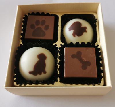 süsse Hunde Pralinen