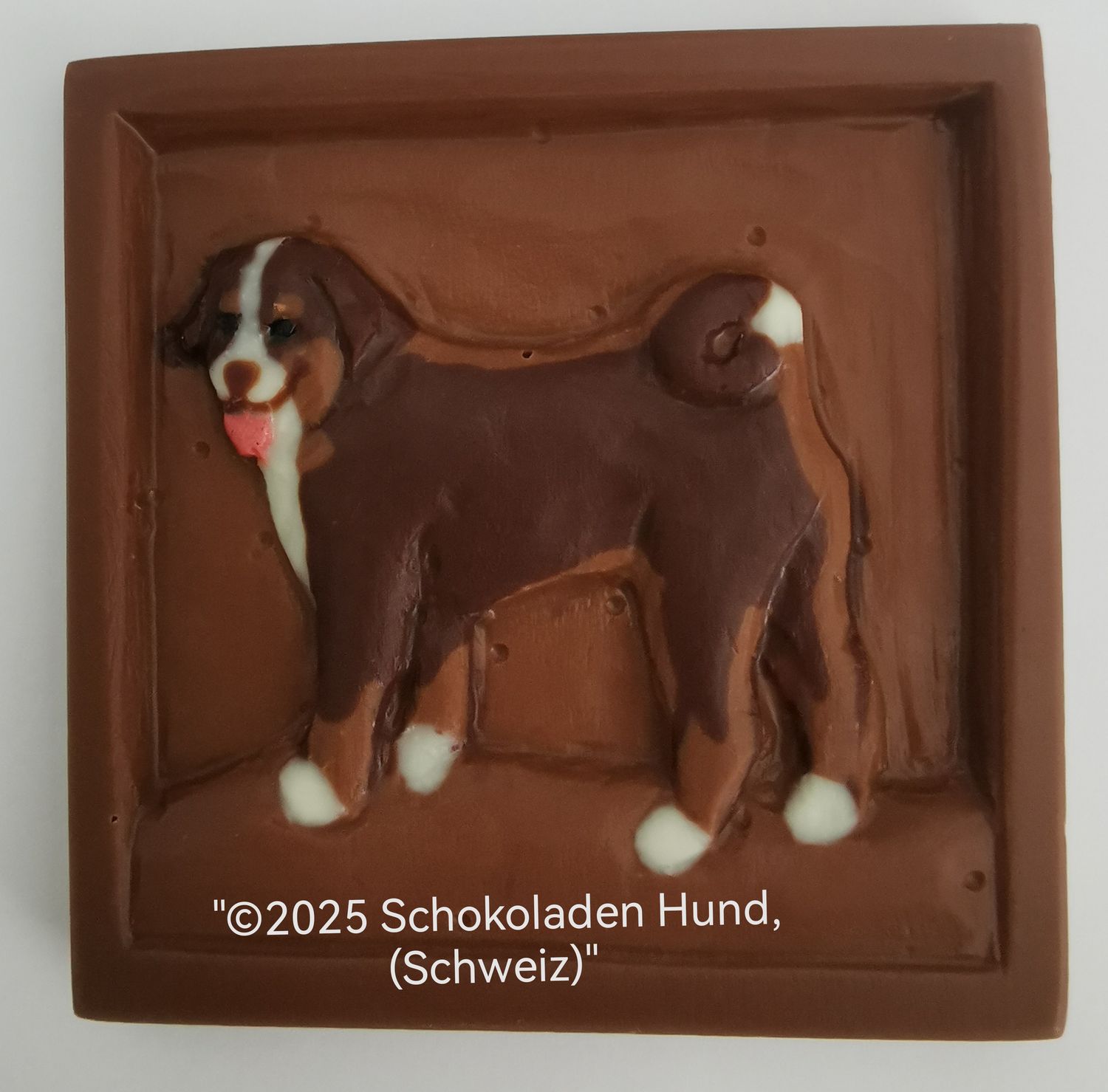Appenzeller Sennenhund