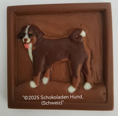 Appenzeller Sennenhund