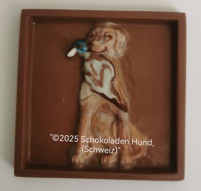 Weimaraner mit Beute