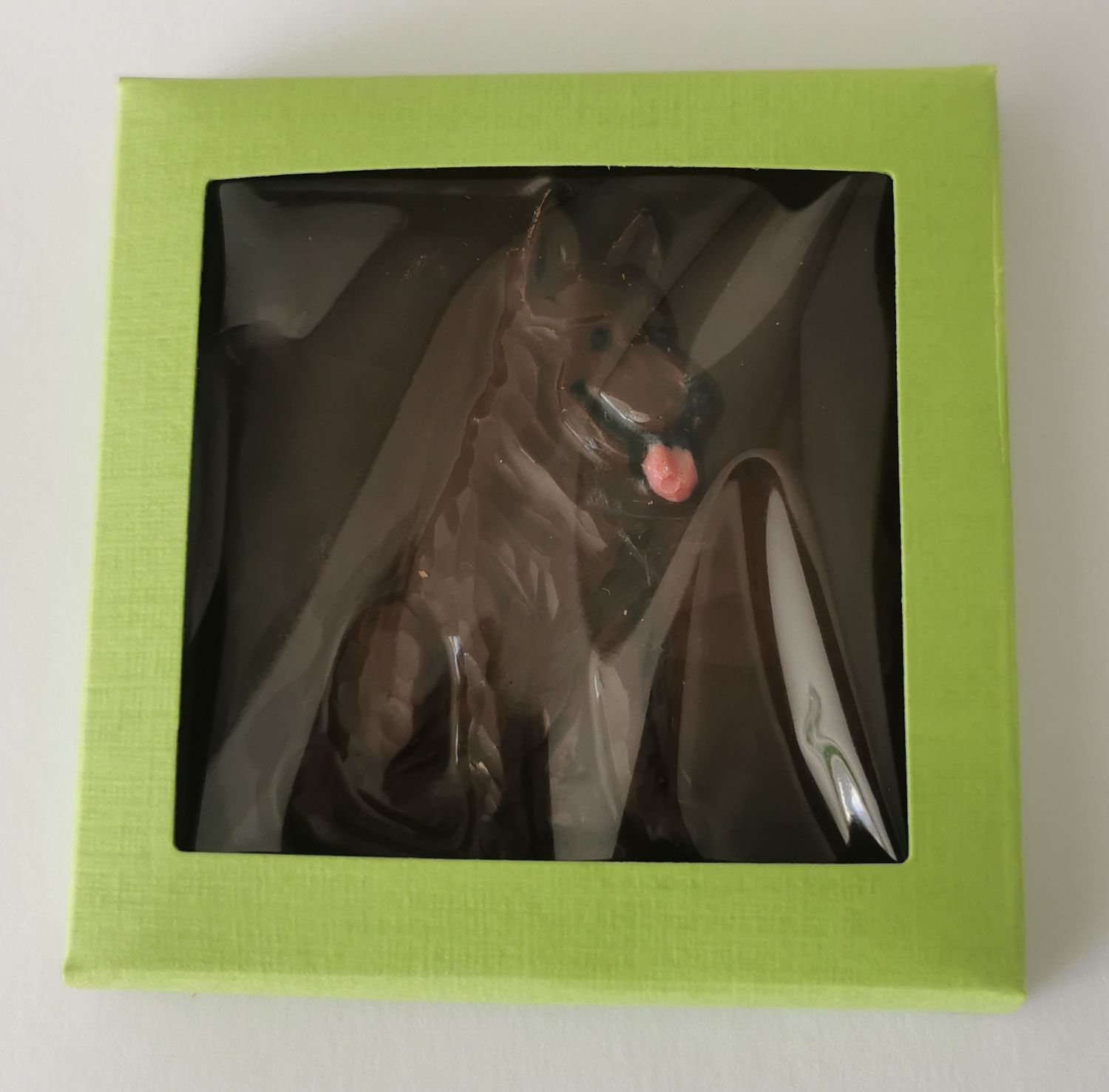 Veganer Schoggihund
