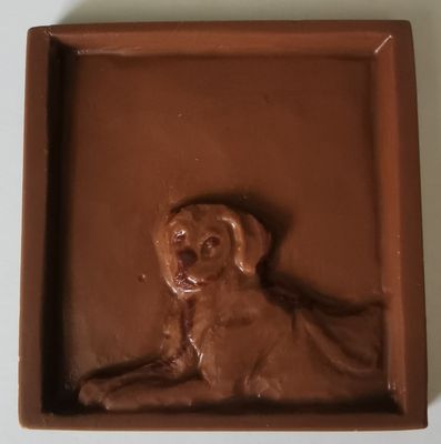 Rodeshian &#39;RidgeBack&#39;