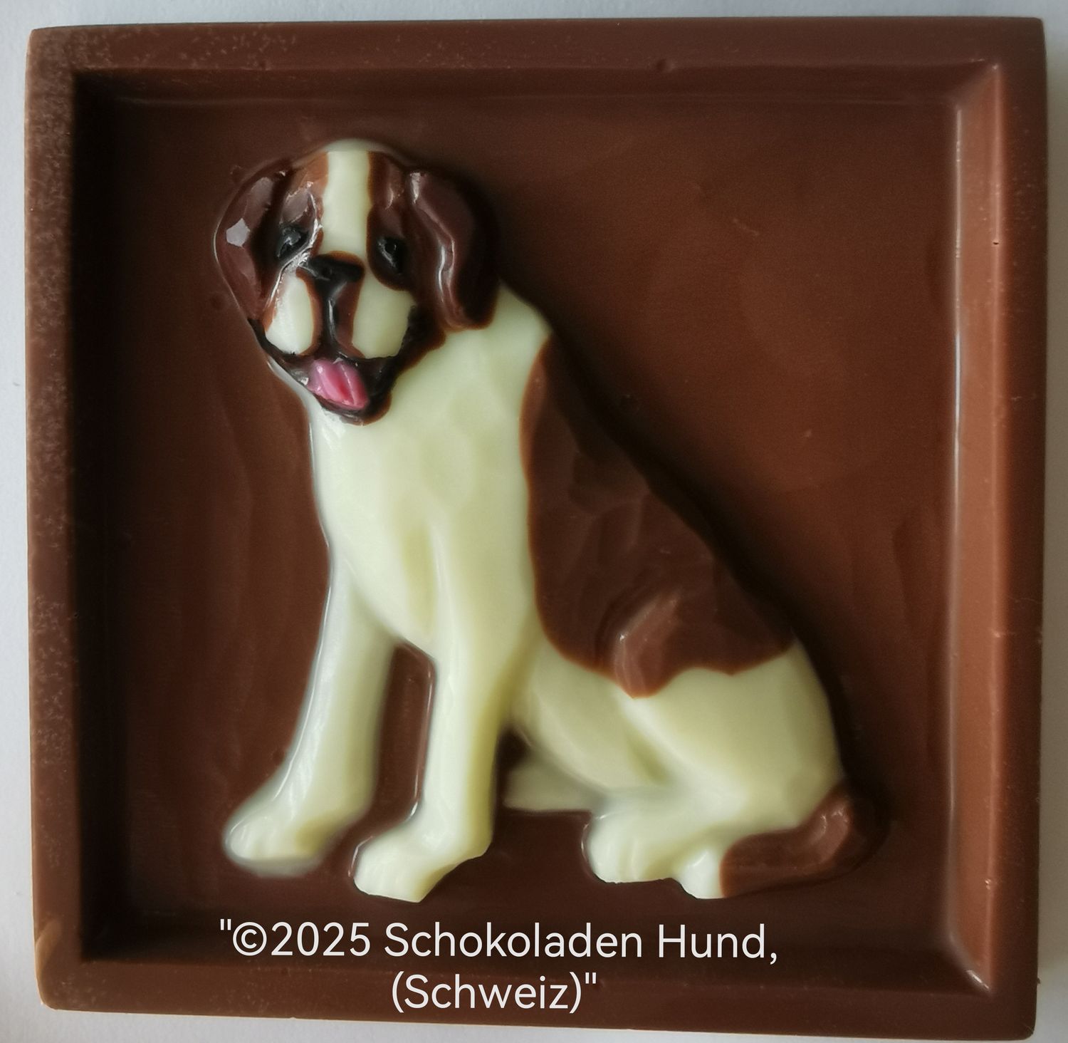 Bernhardiner