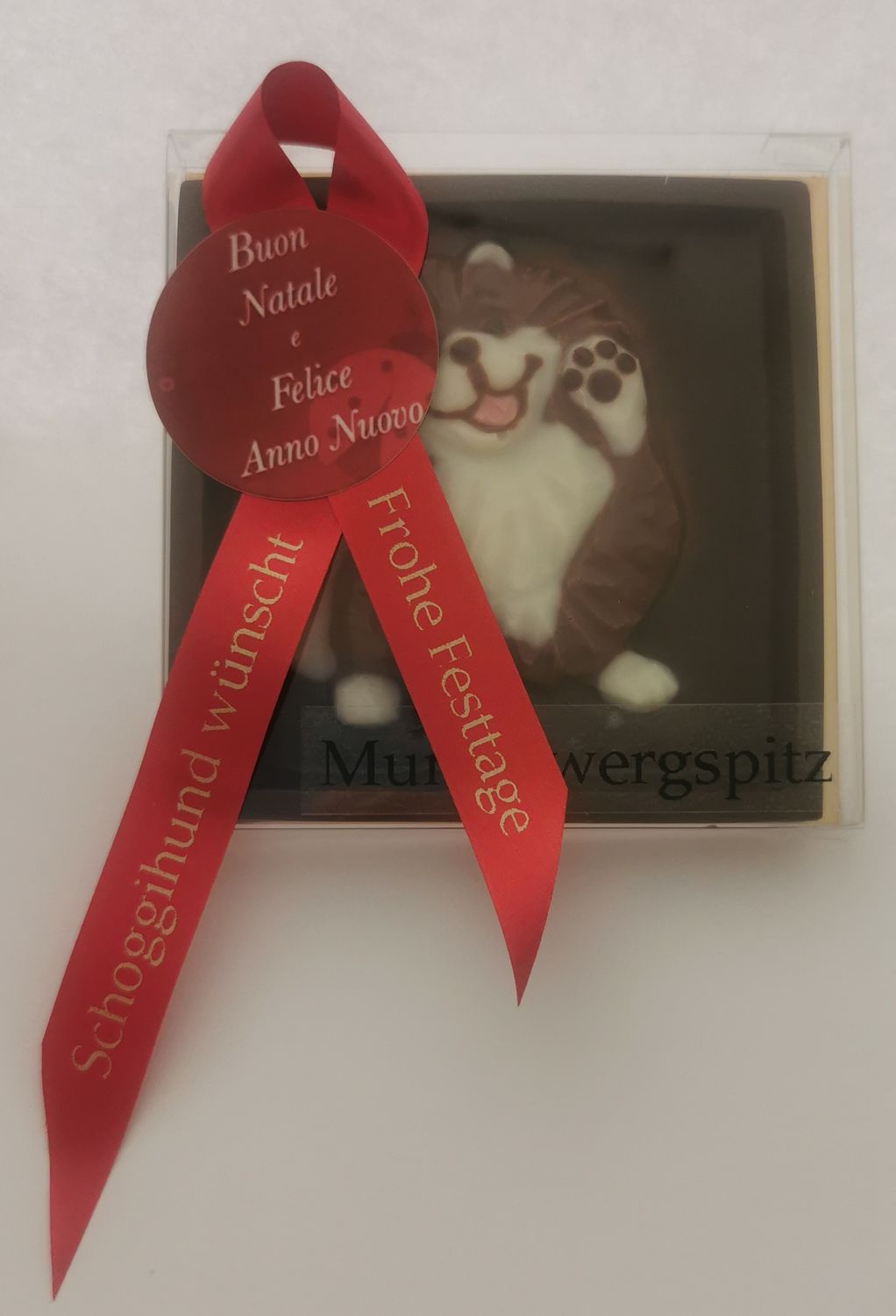 Ein Schoggihund mit schöner Schlaufe