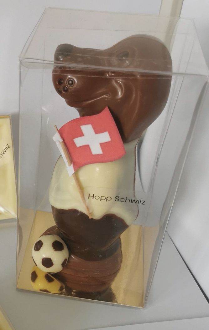 FUSSBALL FAN WM SCHOGGI HUND