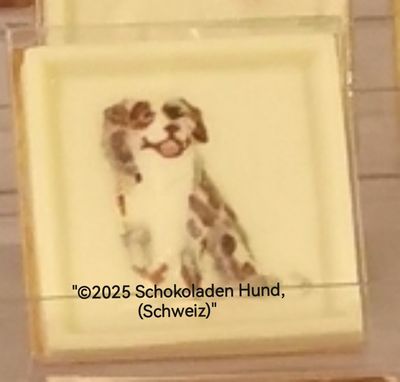 Australian Shepherd (Aussi)