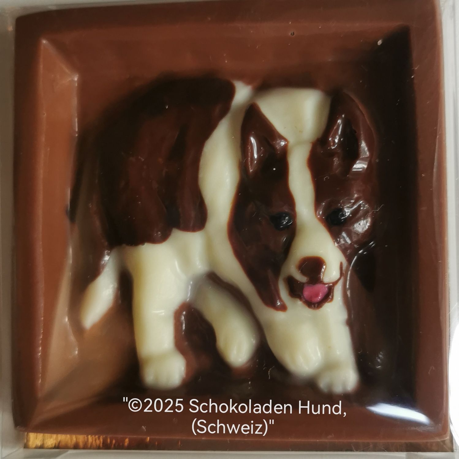 Border Collie Schleich