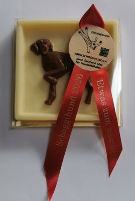 Ein Schoggihund mit schöner Schlaufe