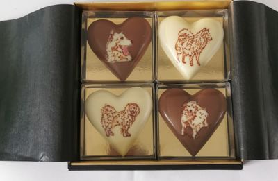 4grosse HERZEN mit Wunsch Garnitur