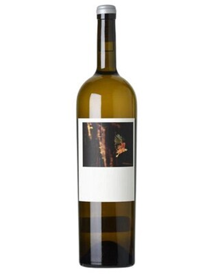 Sine Qua Non Tectumque 2017
