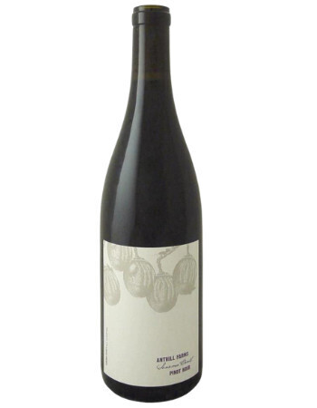Anthill Farms Sonoma Coast Pinot Noir 2021