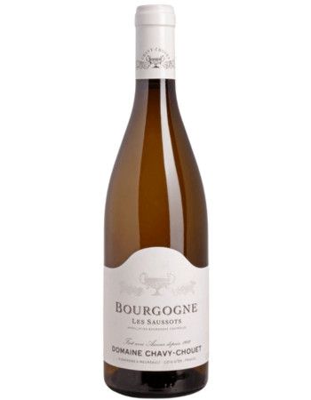 Domaine Chavy-Chouet Bourgogne Blanc Les Saussots 2021