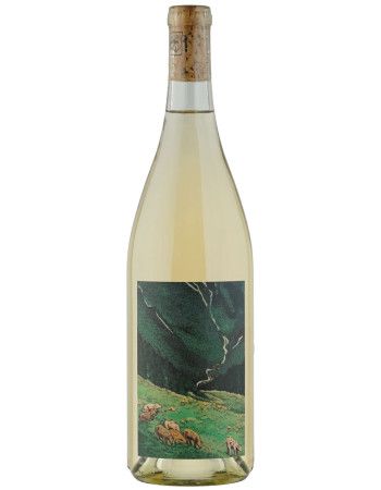 Kelley Fox Wines Gruner Veltliner Willamette Valley 2023