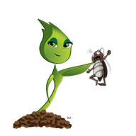 Pest Management