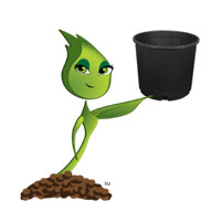 Pots &amp; Containers
