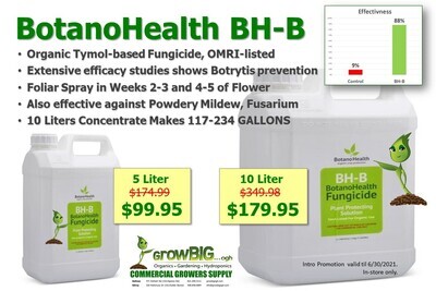 BH-B Fungicide 10L (2.5G)